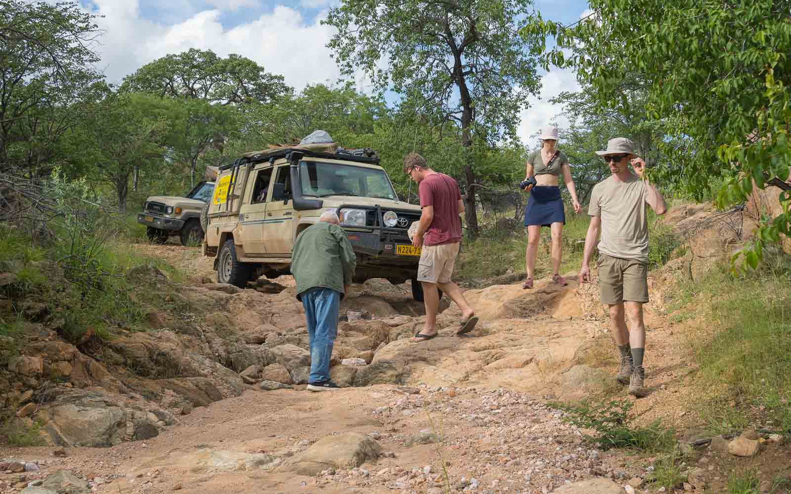 buschmann selfdrive 50