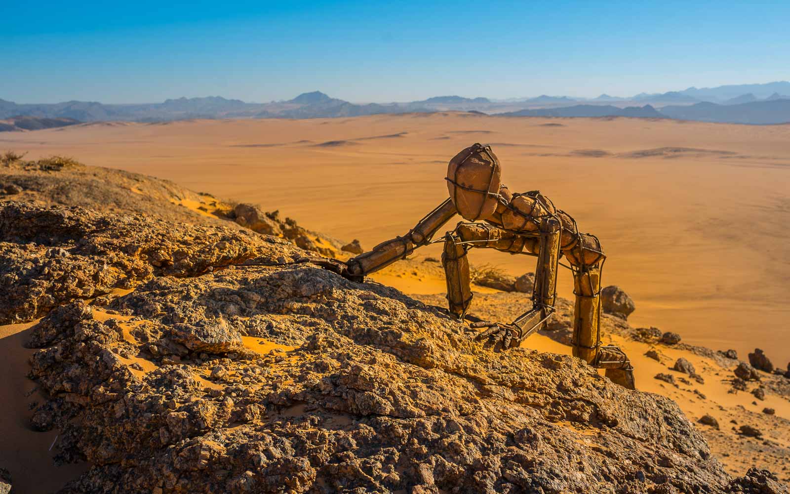 buschmann selfdrive 59