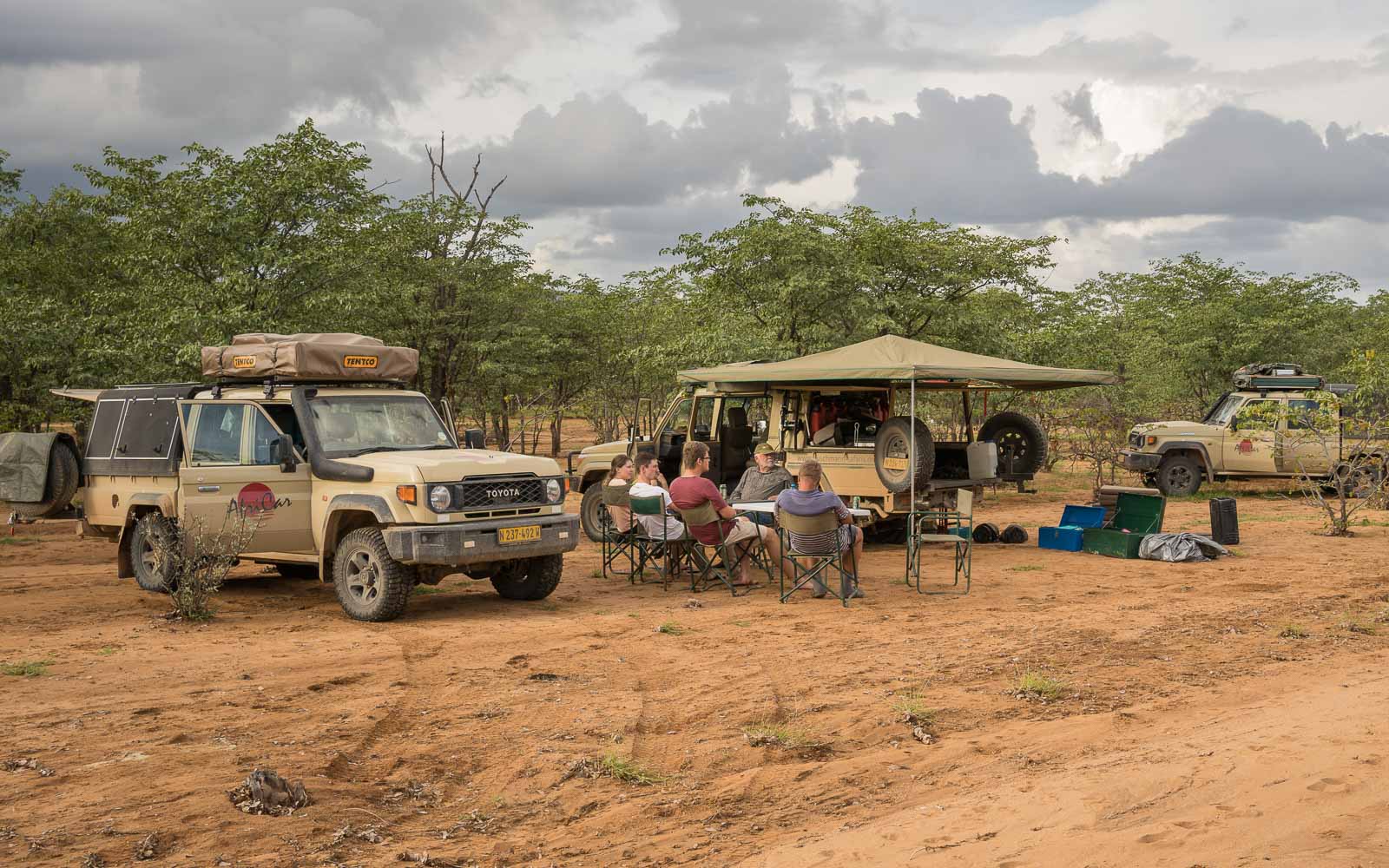 buschmann selfdrive 6