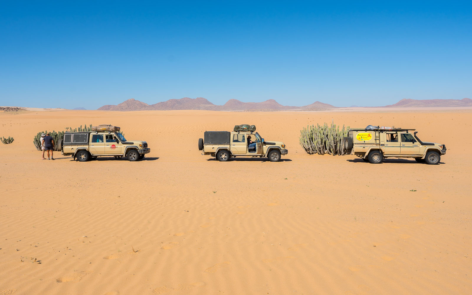 buschmann selfdrive 9