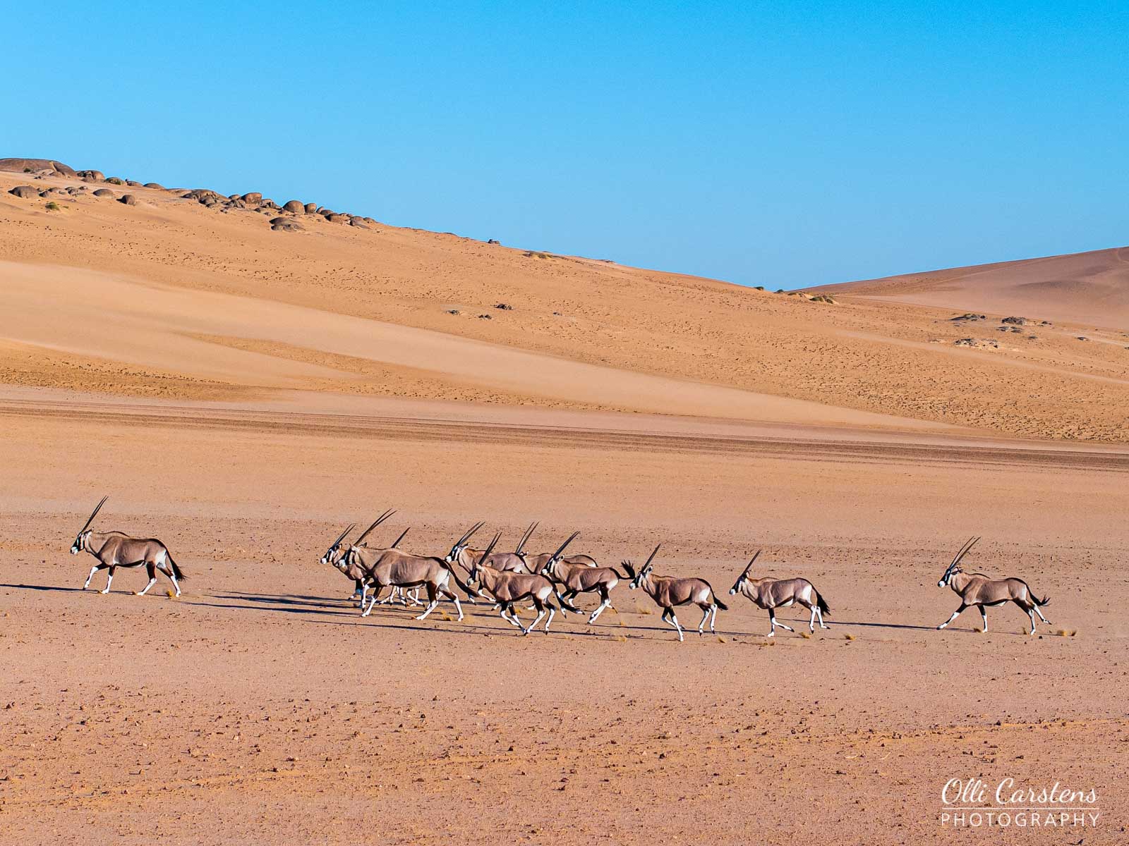 namibia extrem fotosafari 32